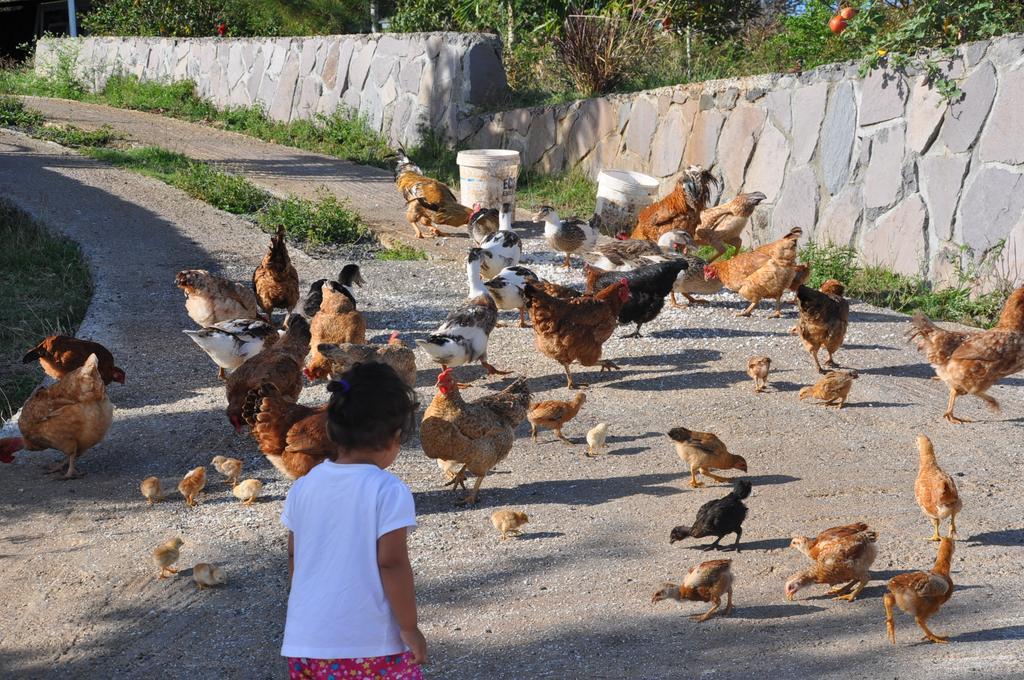 מלון La Ferme Le Refuge מראה חיצוני תמונה